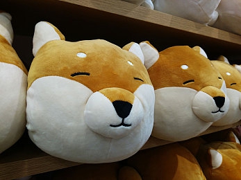 浮力院发地布路线最新版｜浮力院新版导览出炉，畅游之旅焕新启航-3