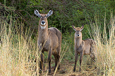 农民工村老妇奶BBWBBw｜坚韧之花，农民工村老妇奶BBWBBw的温情颂歌-4