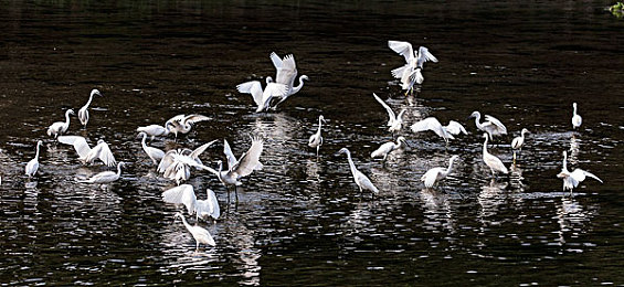 汤不热安卓怎么下载tbr｜探索TBR，畅享海量高清娱乐，解锁全新视听盛宴-3