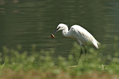 男生女生一起差差差App|趣味互动,快乐差评,拉近心距,共度时光-3