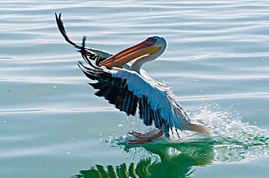 肌肉男同被 到爽 流网站｜净化网络，守护青春——畅游无“毒”游戏空间-3