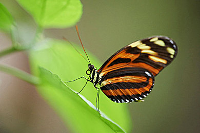 蓝导航A∨导航｜“我国新一代导航技术‘蓝导航A∨导航’发布，引领全球导航领域革命性变革”-3