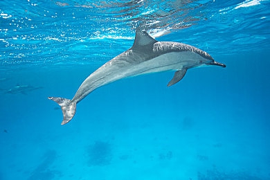 五月天婷婷丁香｜五月天婷婷丁香：音乐追梦路，璀璨星辰照亮人生价值-4