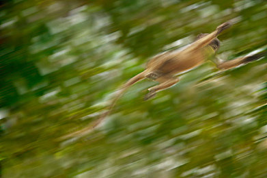 麻花传奇MV星空 免费观看|星空传奇:麻花之梦,视觉听觉盛宴之旅-3
