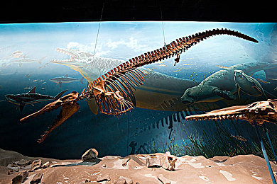 雷电将军被 乳液狂飙｜二次元搞笑瞬间，乳液喷溅成就“雷电将军”新技能-3