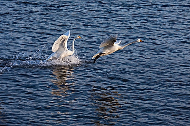 被C过的最爽的一次知乎｜畅游知识海洋，尽享个性化定制——揭秘知乎新体验魅力-3