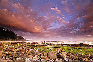 17c黑料爆料18 白浆｜网络迷雾中的真相探寻：17c黑料与18白浆之谜-3