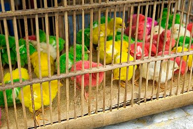 情趣直播｜虚拟直播乐园：互动冒险，轻松畅游-5