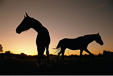 老太婆体内 精｜82岁老太体内惊现精细胞，医学界关注老年人健康之谜-4