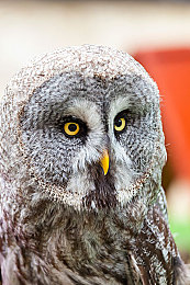 男女差差差下载｜性别解码，下载无界：探索男女下载差异之谜-2