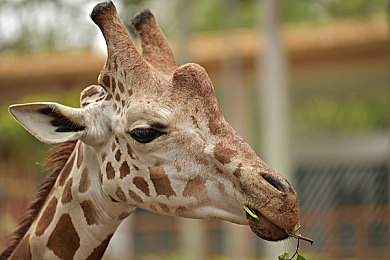 天美传媒麻豆精东A片|文化探索之旅,感受新锐影像魅力-2