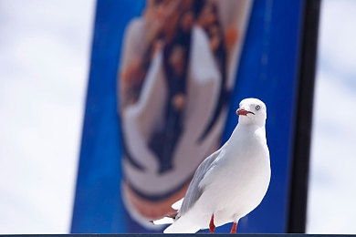 沉淀十年只做经典｜十年匠心磨一剑，经典之作惊艳市场引热议-5