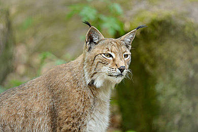 国产av剧｜国产开创新潮流,审视年轻人情感教育-2