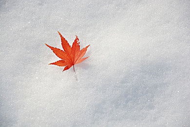 男生把自己的 放进男生的｜校园疑云：物品误放引发冲突，揭秘校园生活困境与和谐共处之道-3