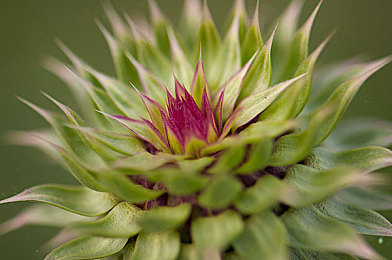 夸克怎么打开隐藏大家都懂的网站｜破解隐秘角落，夸克浏览器开启网络新篇章-4