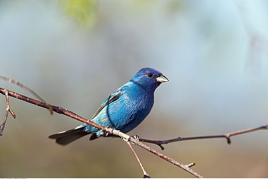 zztt116.ccm黑料｜网络论坛黑料风波：知名人士名誉受损，网络舆论监管亟待加强