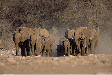 男女打扑克网站｜扑克乐园，男女共乐，畅享激情时光-3