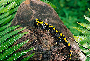 精东天美蜜桃果冻91传媒｜探索创新，蜜桃果冻91传媒之旅-5