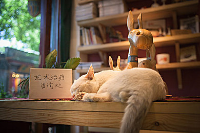 健硕裸体男男GaySex｜同性恋争议：公园事件折射社会包容与道德困境-4