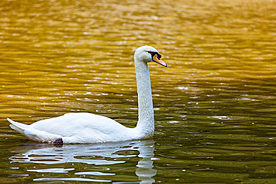 无尽 得到 可爱 讨厌｜“无尽得到”应用：可爱与挑战交织，开启快乐成长之旅-1