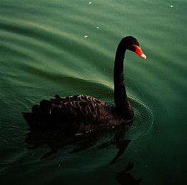 扫楼原味打胶鞋网站|传统匠心,鞋履传奇之旅-3