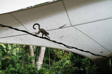 二人扑克运动视频免费下载软件｜免费下载软件助你捕捉二人扑克精彩瞬间，解锁牌桌上的视觉盛宴-4