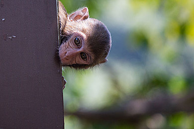 古代诱子初尝云雨孽欲｜揭开禁果之谜：古代少年初尝云雨的悲欢人生-2
