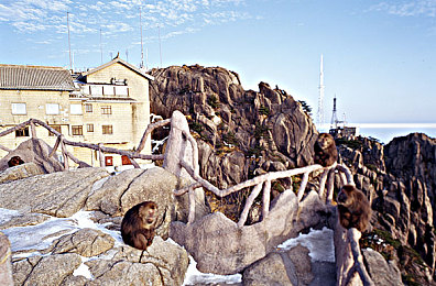 暗夜pro官网色板免费｜色彩盛宴：暗夜Pro免费色板，设计灵感无限释放-3