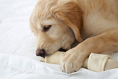 非洲女人与牛zoxo交｜非洲牛zoxo交：神秘习俗体验之旅-4