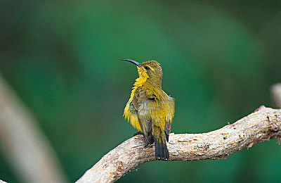 中国少妇XXXXHD做受|东方魅力绽放:中国少妇XXXXHD的多彩人生与社会启示-3