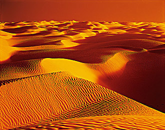 免费 成人 学|“全民学习新风尚:免费成人教育项目助力提升国民素质,社会反响热烈”-3