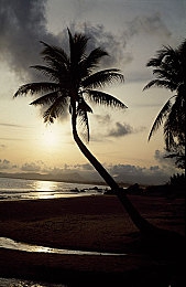 男生和女生一起相差差差app｜打破界限，畅享性别互动新篇章-2