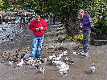 蜜桃无人区一码二码｜智能“蜜桃”解码，生活互动新篇章-4
