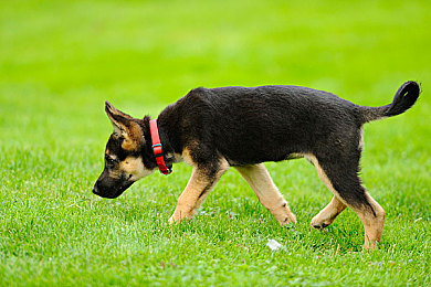 麻豆APP｜隐私之争下的数字时代如何重塑信任-5