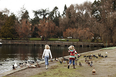 人人看人人干｜团结抗疫，全民行动：共筑健康防线-3