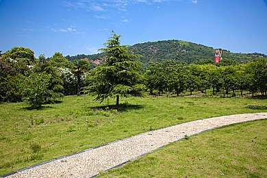 18款夜间禁用软件入口游戏｜18款游戏夜间禁入新规出台，呵护青少年视力健康与作息时间-2