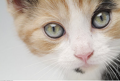 国产大片av｜国产大片引领文化潮流，观众热议精彩作品-5