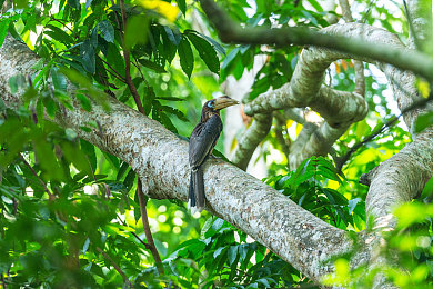 歪歪漫画渗透测试|网络安全红队挑战:揭秘虚拟世界的双重刃-2