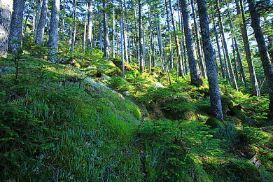 偷拍自拍｜偷拍自拍秘境，隐私边界探险之旅-4