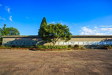 黄三色香港哪三色颜色搭配图片｜“色彩传奇：香港黄三色冒险之旅”-4