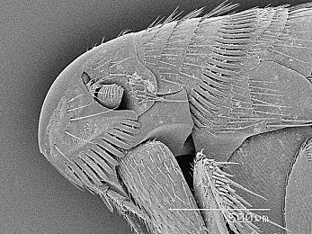 166.su黑料入口|网络秘境探险之旅,166.su黑料入口,解锁神秘功能乐趣-1