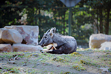 好大 好爽 快点深一点床戏软件｜揭秘低俗，守护清朗网络，畅游无界-3