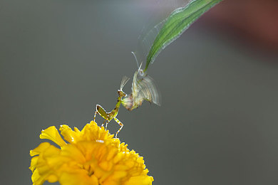 亚洲Aⅴ天堂Av在线电影软件｜亚洲成人内容市场快速崛起法律与道德再思考-4