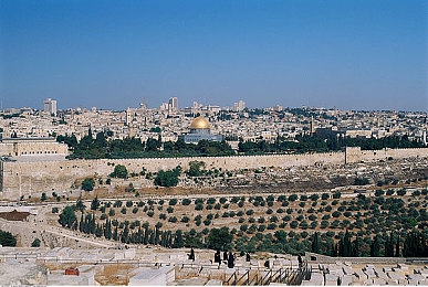 黄a视频|网络暗流涌动:揭秘“黄a视频”传播真相与危害-3