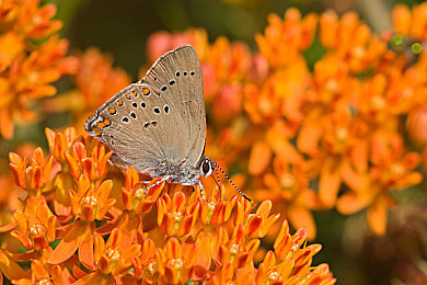 天堂在线中文|沉浸式VR教学引领潮流,“天堂在线中文”成中文学习新宠-3