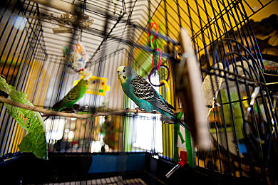 WWW色｜清朗网络，守护清白：揭秘网络色情暗流-1