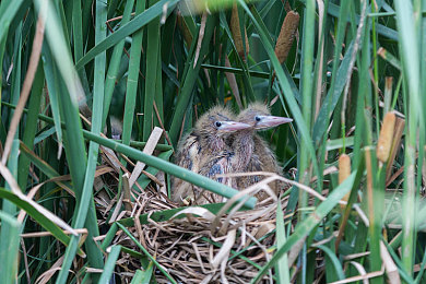 《高压监狱2：重返黑暗》｜重返黑暗谷：高压监狱求生记-5