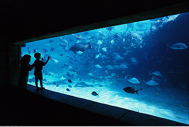 黄游大全｜网络色情产业链揭秘：黄游大全危害社会风气，呼吁加强监管，共筑清朗网络空间-4