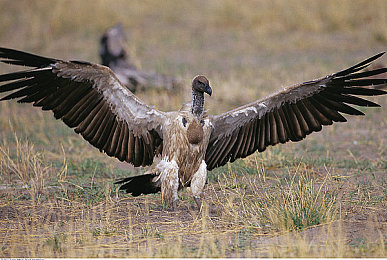 欧美亚洲一区二区三区｜穿越欧美亚三区，探索文化瑰宝之旅-2