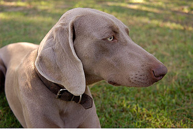 黑人 亚洲人 娇小|多元视角破除刻板印象,共筑和谐包容社会基石-3